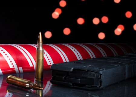 Magazine and ammo with Christmas wrapping paper