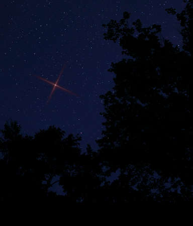 Bright red star rising in the sky in North Carolina for Christmas Eveの写真素材