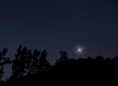 One star shining brightly over a silhouetted treeline in North Carolinaの写真素材
