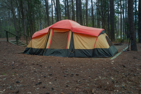 Orange tent on a campsite at Jordan Lake in North Carolinaの写真素材