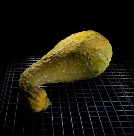 Squash fresh from the garden on a metal grateの写真素材