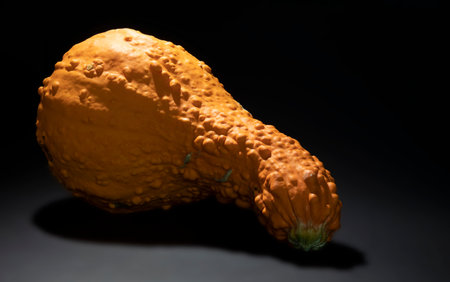 Large yellow squash on a black surface with a drop shadowの写真素材
