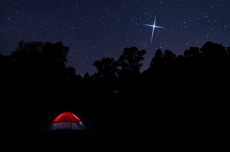 Red tent glowing from inside with a single bright star glowing in a starry sky above silhouetting a dark forest.の写真素材