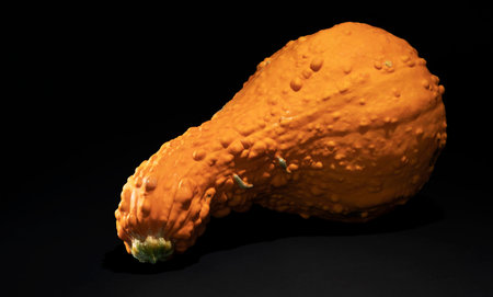 Big yellow squash on a black background with copy space