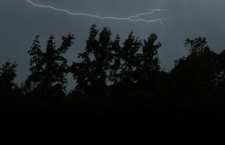 Horizontal bolt of lightning that is flashing above a silhouetted thick forest in North Carolina.の写真素材
