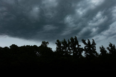 Thick line of trees silhouetted by storm clouds blowing in near Raeford in North Carolina.の写真素材