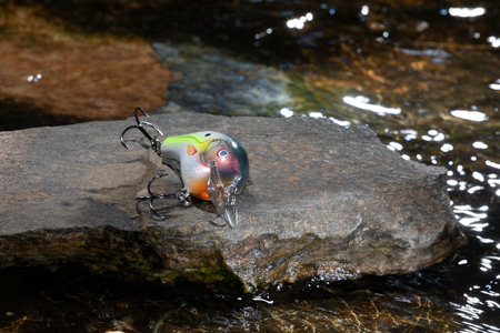 Fishing lure on a rock that is surrounded by waterの写真素材