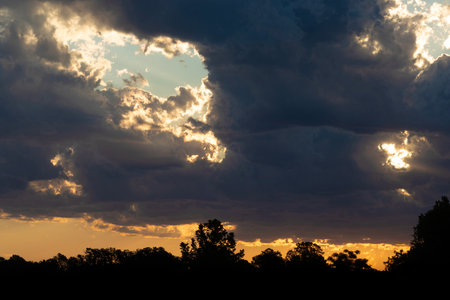 Bright sun highlighting the edges of this clouds low on the horizon with a thick stand of trees silhouetted below.の写真素材