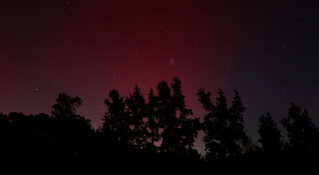 Red and crimson northern lights with stars shining through behind a tall forest of trees on a still night in North Carolina.の写真素材