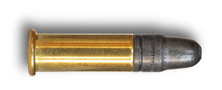 Black and grey lead bullet on a .22 rimfire cartridge with a shadow behind on a white background.