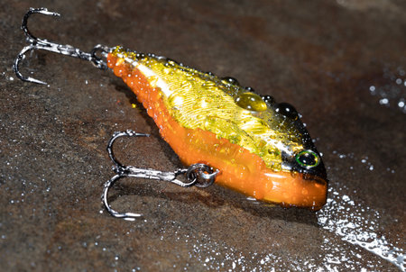 Gold, yellow and orange fishing crankbait that can work different water depths after casting soaking wet on a equally water covered rock.の写真素材