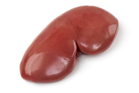 Raw pork kidney, isolated on white background.