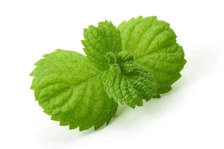 Fresh mint leaves, close-up, isolated on white background.