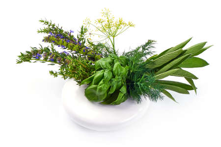 Bunch of sage, thyme, dill, hyssop and basil, isolated on white background.の写真素材