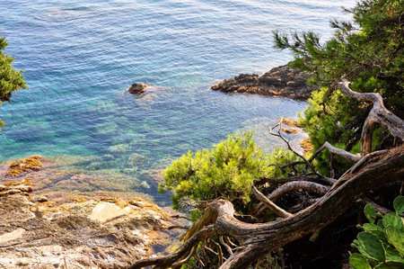 Rocky Cliffs and Turquoise Waters of the French Mediterranean. View of high cliffs, green hillsの写真素材