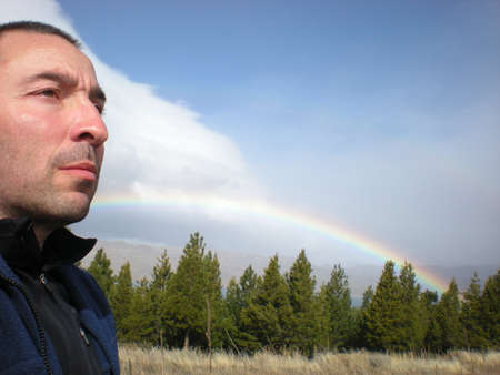 Rainbow behind a pine forestの写真素材