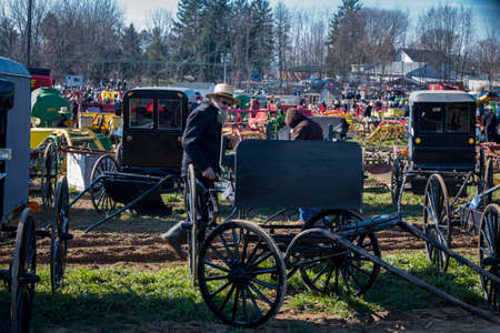 Gordonville, PA, USA - March 10, 2018: Buggies in a muddy field ready to be sold at the annual Lancaster County Mud Sale at the Gordonville Fire Company.のeditorial素材
