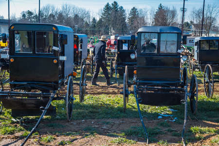 Gordonville, PA, USA - March 10, 2018: Buggies in a muddy field ready to be sold at the annual Lancaster County Mud Sale at the Gordonville Fire Company.のeditorial素材