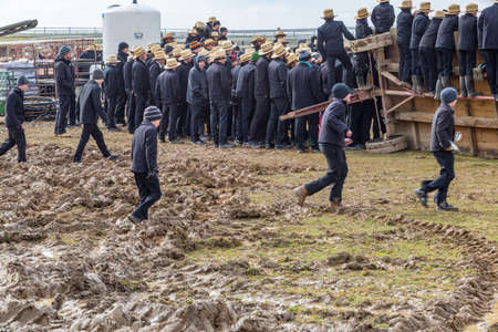 Bart, PA, USA - March 3, 2018: Amish walk through the muddy field at the annual Mud Sale at the Bart Fire Company.のeditorial素材