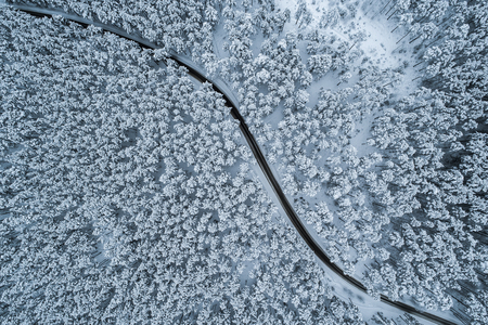 Winter forest from droneの写真素材