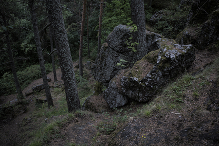 Dark boulders covered in moss in the woods against stormy skies, tree trunksの写真素材