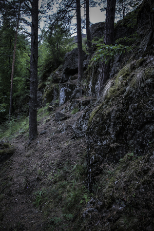 Dark boulders covered in moss on a slope in northern woodの写真素材