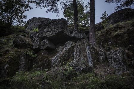 Two trees growing from dark boulders covered in mossの写真素材