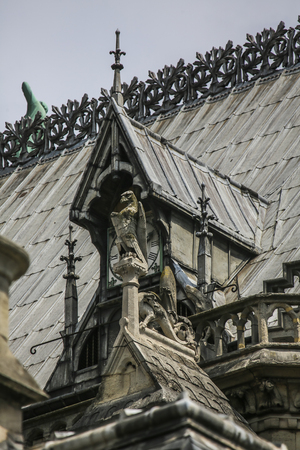 Bird of pray on a roof fragment of Notre Dame of Paris, Franceの写真素材