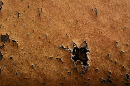 Old fosa that lacks a hole surfaceの写真素材