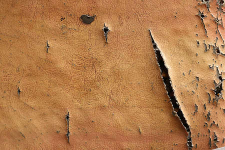 Old fosa that lacks a hole surfaceの写真素材