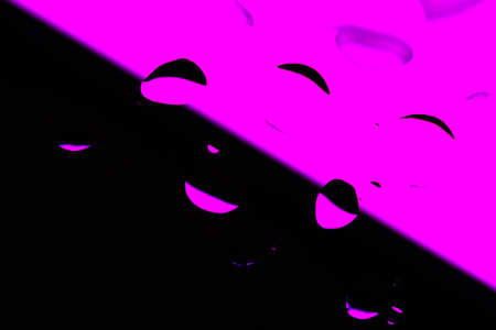 Abstract Background with Oil Drops on Black - Pinkの写真素材