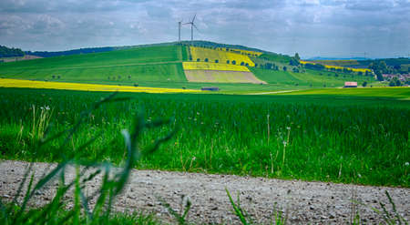 Germany  -   Yellow Fields in Lower Saxonyの写真素材