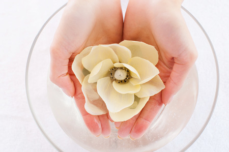 Fresh and beauty. Top view of female hands touching flower in the container with waterの写真素材