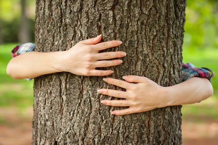 Loving the nature. Close-up of hands gesturing heart shape on the tree の写真素材