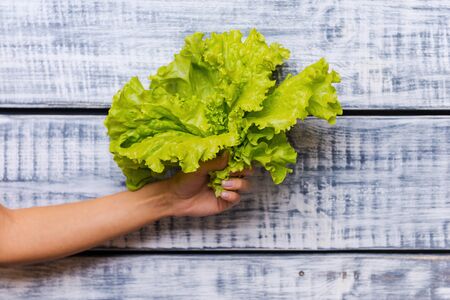 The freshest lettuce. Close-up of female hand holding fresh lettuce in front of wooden backgroundの写真素材