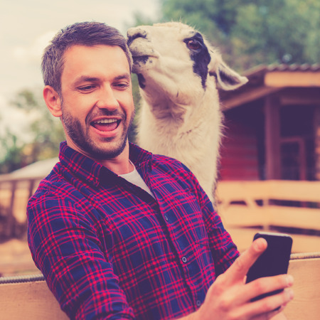 Me and my new friend. Joyful young man making selfie on his smart phone while llama touching his headの写真素材