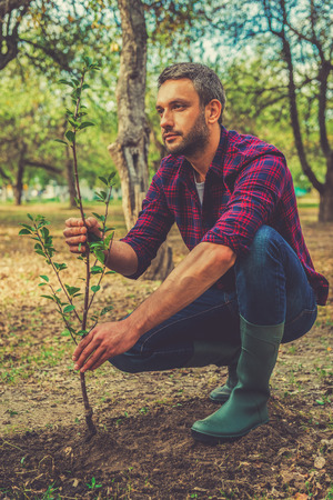 Giving a new life. Thoughtful young man planting the tree while working in the gardenの写真素材