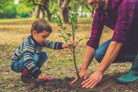Let me help you! Little boy helping his father to plant the tree while working together in the garden Let me help you! Little boy helping his father to plant the tree while working together in the garden