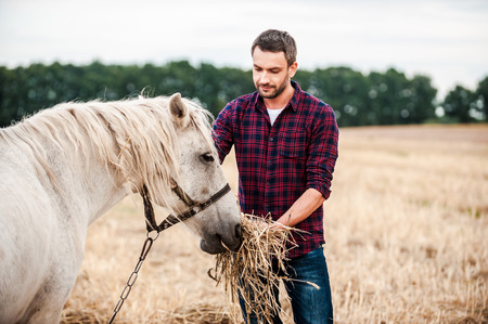 I love this horse! Side view of young farmer feeding horse while standing in the fieldの写真素材