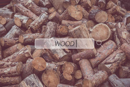 Find proper wood. Close-up of plenty of logs laying on the groundの写真素材