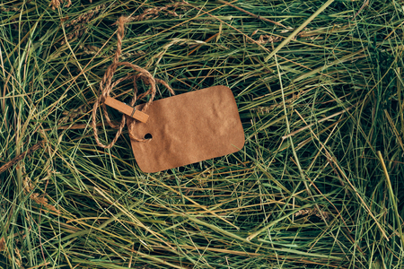Message in hay. Top view of brown paper label lying on hayの写真素材