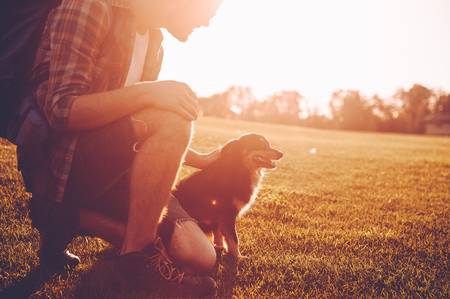 Me and my best friend. Cheerful young man with backpack petting dog while kneeling on the green grass outdoorsの写真素材