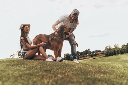 Such a good boy! Young modern couple playing with their dog while spending free time in the parkの写真素材