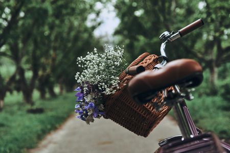 Waiting for owner. Close-up of bicycle with flowers in the basket standing on the road outdoorsの写真素材