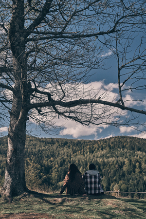 Best way to spend the vacations.  Rear view of young couple admiring the view while sitting on the mountain top under the treeの写真素材
