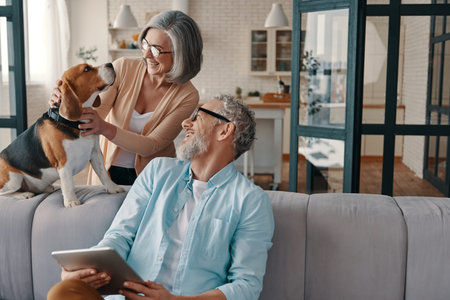 Happy senior couple in casual clothing smiling and taking care of their dog while bonding together...