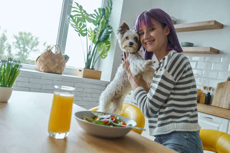 Happy young woman spending time with her cute little dog while sitting at the kitchen islandの写真素材