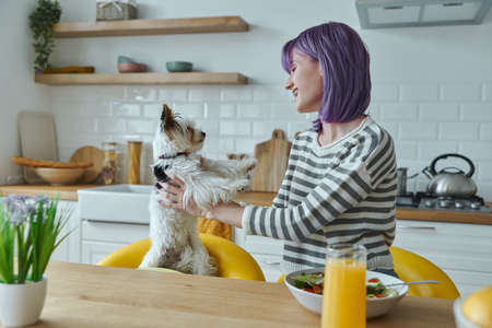 Cheerful young woman spending time with her cute dog while sitting at the kitchen islandの写真素材