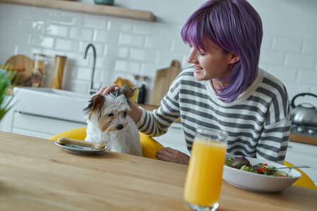 Teenage girl and her little dog having lunch together while sitting at the kitchen islandの写真素材