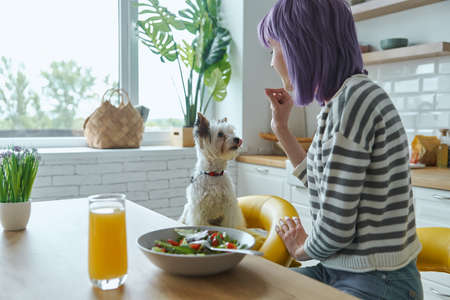 Young woman spending time with her cute dog while sitting at the kitchen islandの写真素材